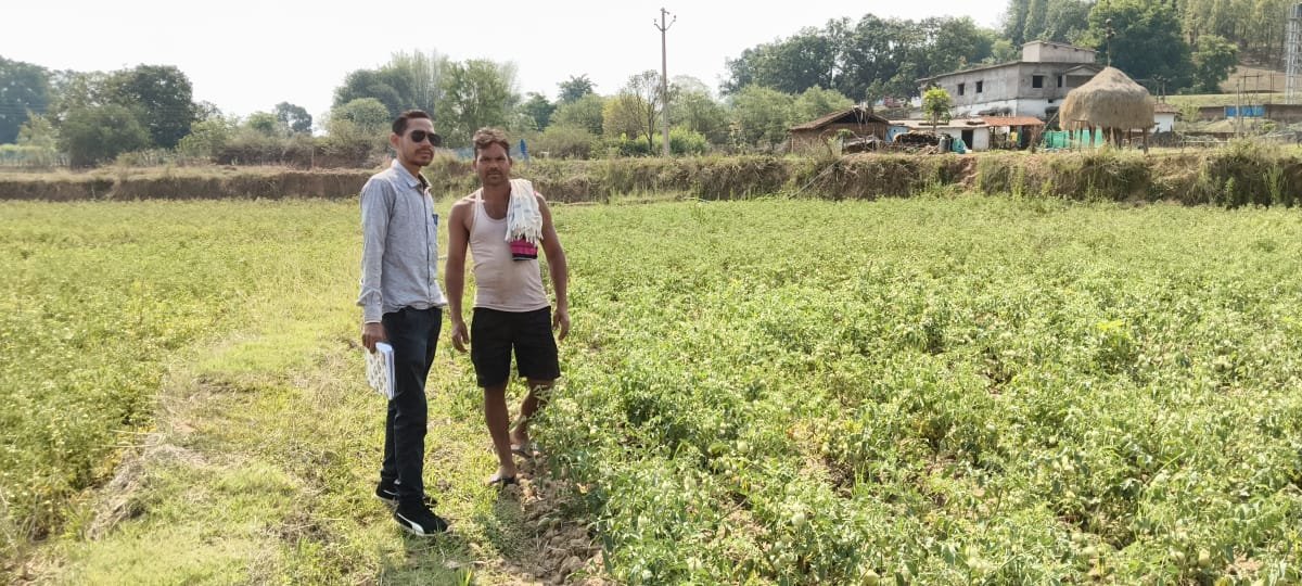 जशपुर: राष्ट्रीय बागवानी मिशन से बदली किसान सुनील की तकदीर