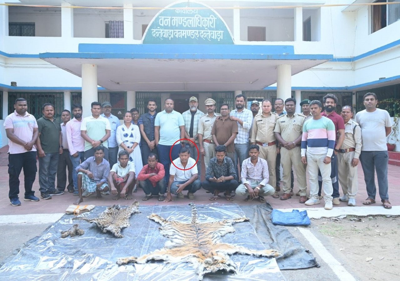 खाकी पर दाग: बाघ और तेंदुए के शिकार मामले में डिप्टी रेंजर समेत 9 गिरफ्तार, वन विभाग की बड़ी कार्रवाई
