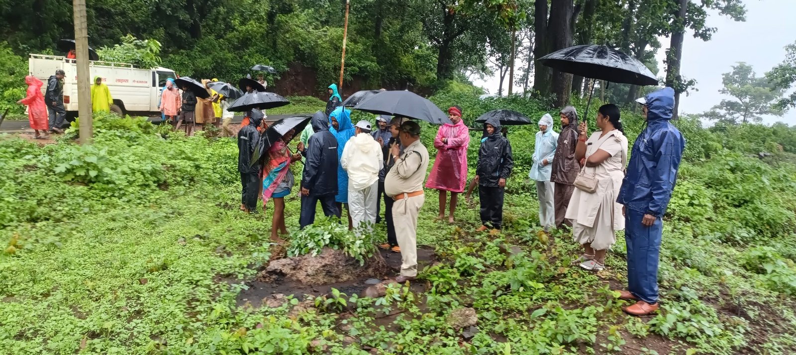 जशपुर में वन भूमि पर कब्जे की साजिश नाकाम: वन विभाग की त्वरित कार्रवाई, 3 हेक्टेयर जमीन कराई मुक्त; रोपे गए 5,000 पौधे